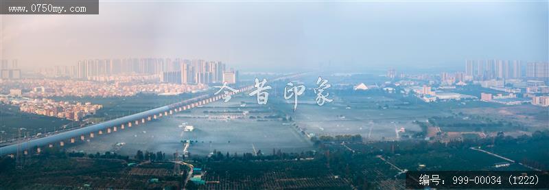 柑田_航拍,农业