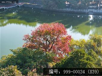 玉湖