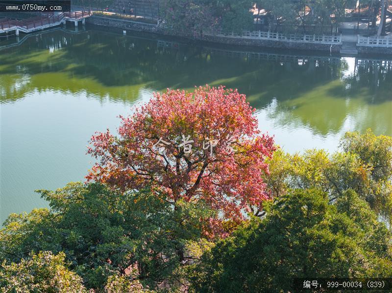 玉湖_航拍,玉湖,旅游民俗