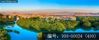 小鸟天堂