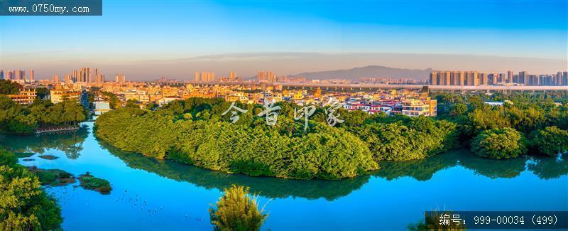小鸟天堂_航拍,小鸟天堂,旅游民俗