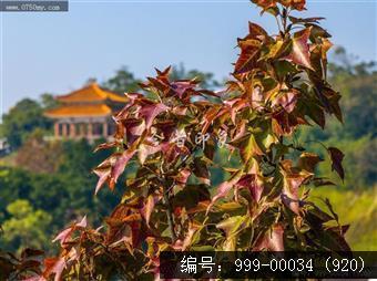 玉台寺