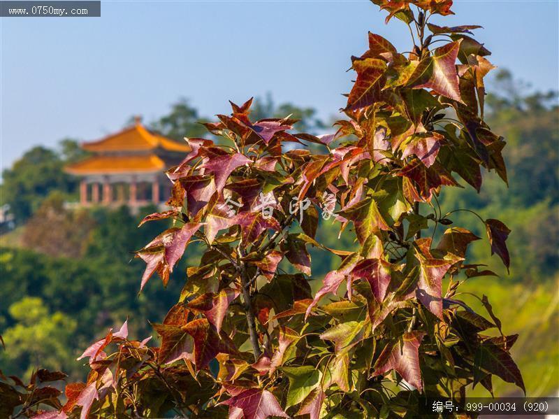 玉台寺_航拍,圭峰山,玉台寺