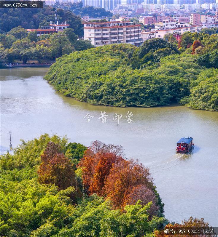 小鸟天堂_航拍,小鸟天堂,旅游民俗