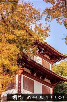 玉台寺