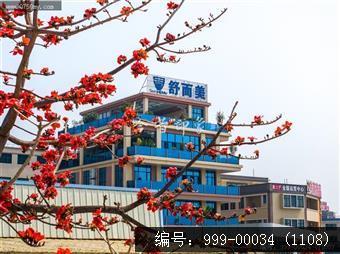 茶坑村