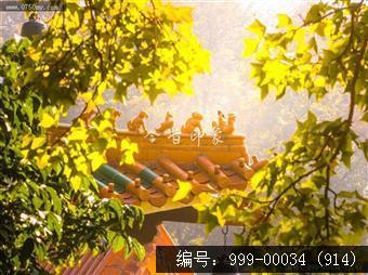 玉台寺