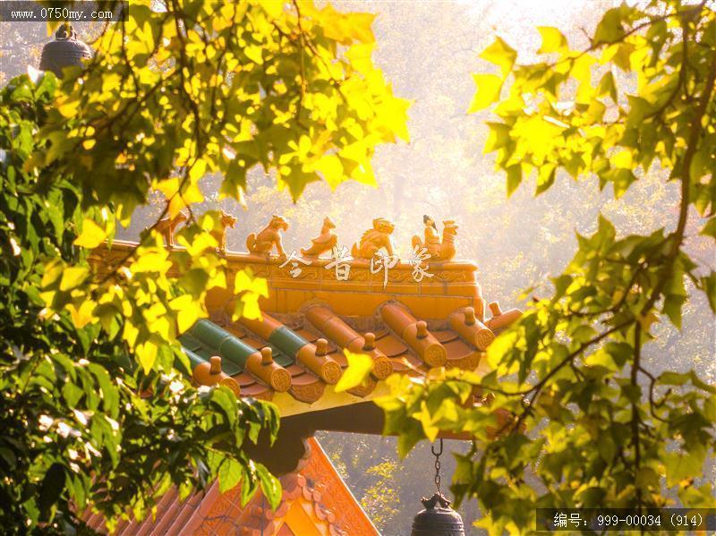 玉台寺_航拍,圭峰山,玉台寺