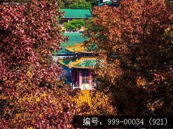 玉台寺