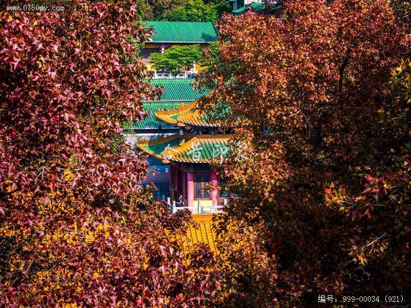 玉台寺_航拍,圭峰山,玉台寺
