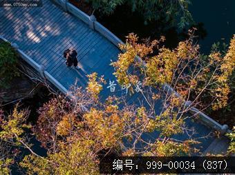 玉湖