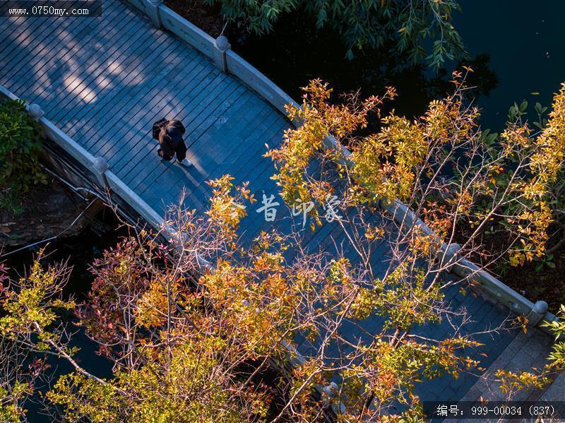 玉湖_航拍,玉湖,旅游民俗