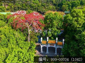 玉台寺