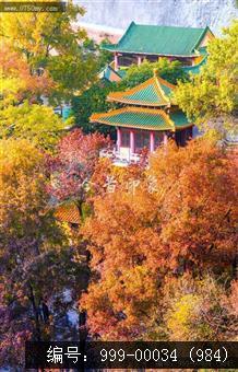 玉台寺