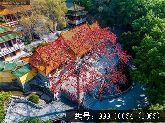 玉台寺