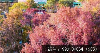 玉台寺