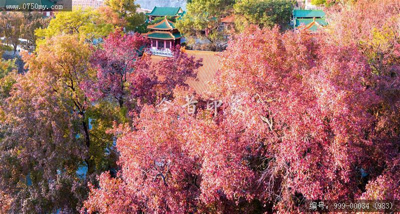 玉台寺_航拍,圭峰山,玉台寺