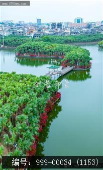 葵湖