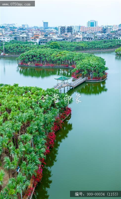 葵湖_航拍,人居环境