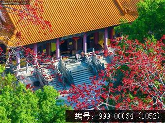 玉台寺