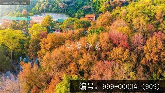 玉台寺