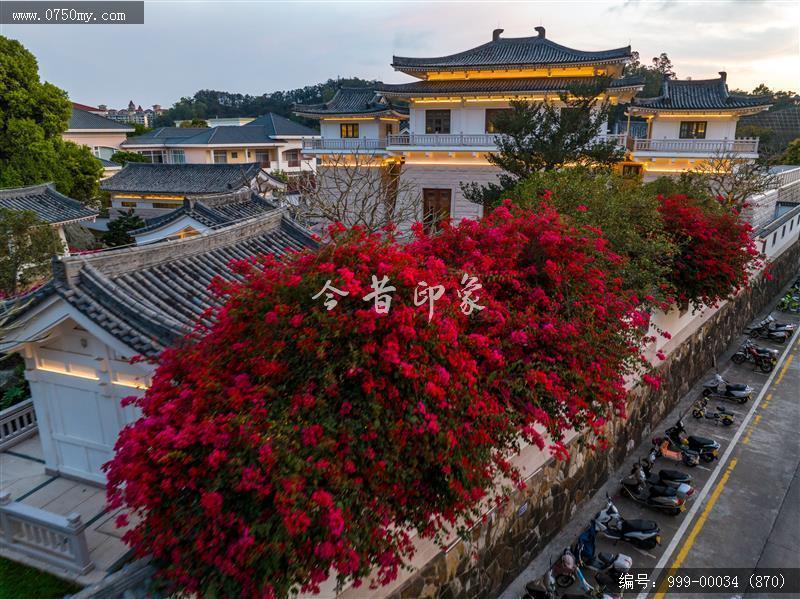 玉湖_航拍,玉湖,旅游民俗
