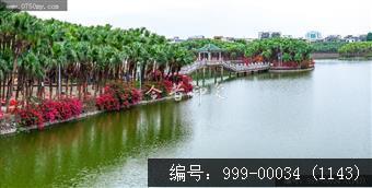 葵湖