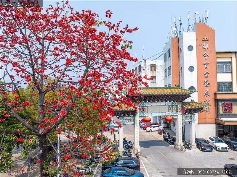 会城城区_航拍,城市景色