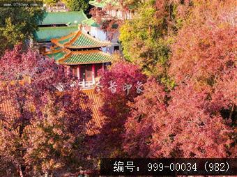玉台寺