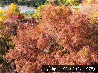 玉台寺