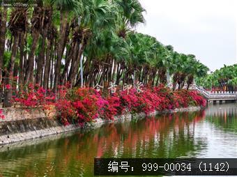 葵湖