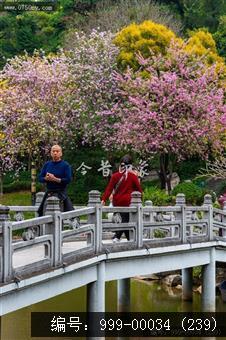 北园花园