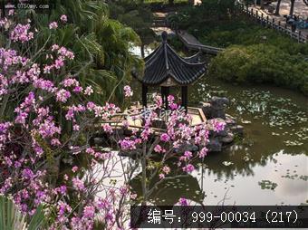 北园花园