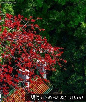 玉台寺
