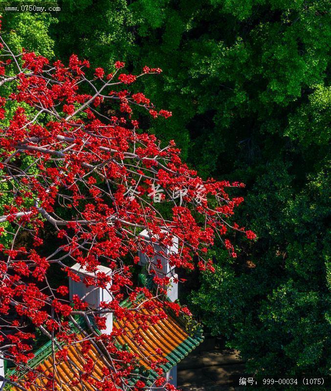 玉台寺_航拍,圭峰山,玉台寺