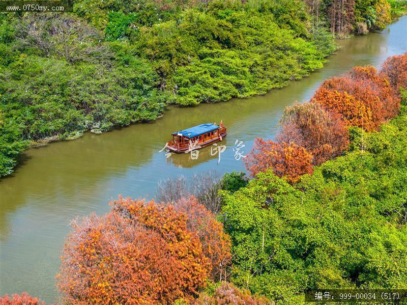 小鸟天堂_航拍,小鸟天堂,旅游民俗