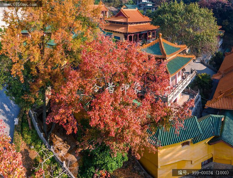 玉台寺_航拍,圭峰山,玉台寺