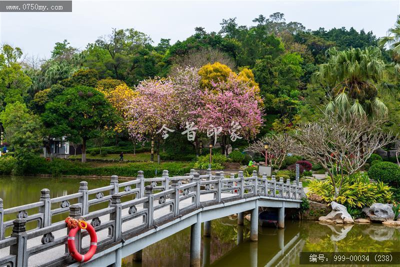 北园花园_人居环境