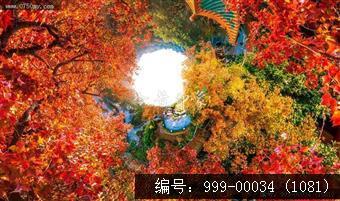 玉台寺