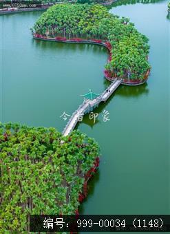 葵湖