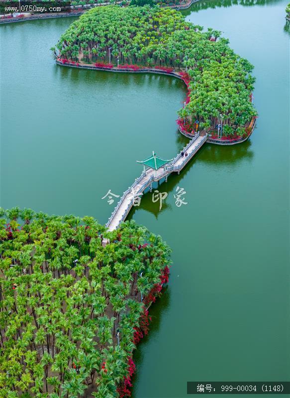 葵湖_航拍,人居环境