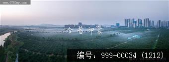 柑田