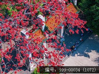 玉台寺