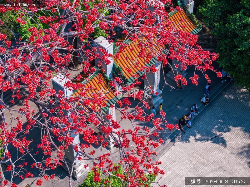 玉台寺_航拍,圭峰山,玉台寺