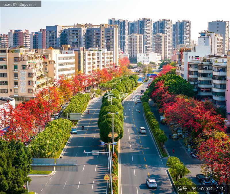 冈州广场_航拍,城市景色