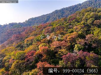 玉台寺
