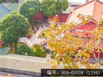 红叶