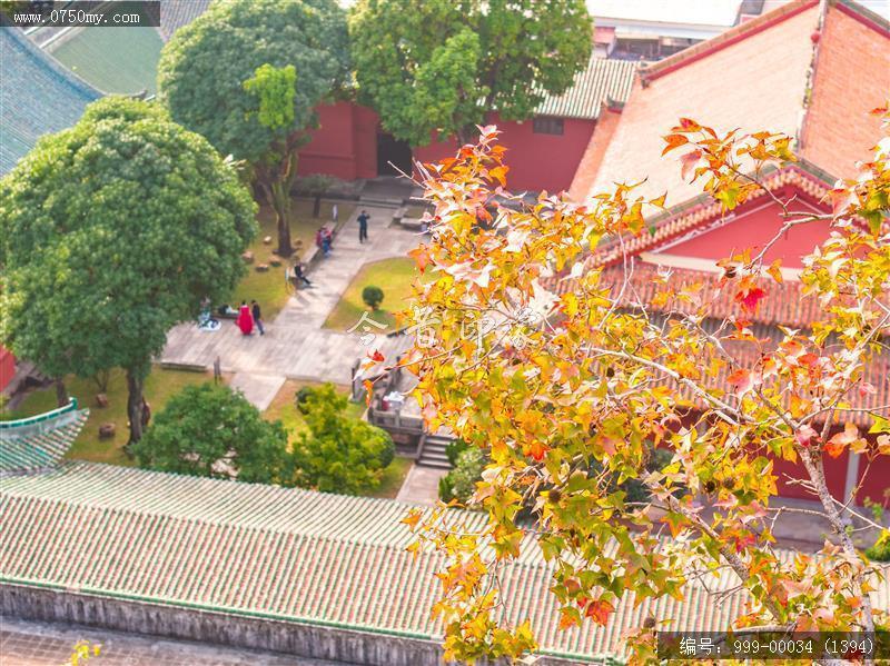 红叶_航拍,自然