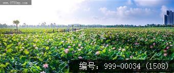 梅江生态园
