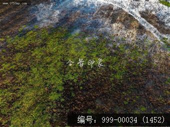 梅江生态园
